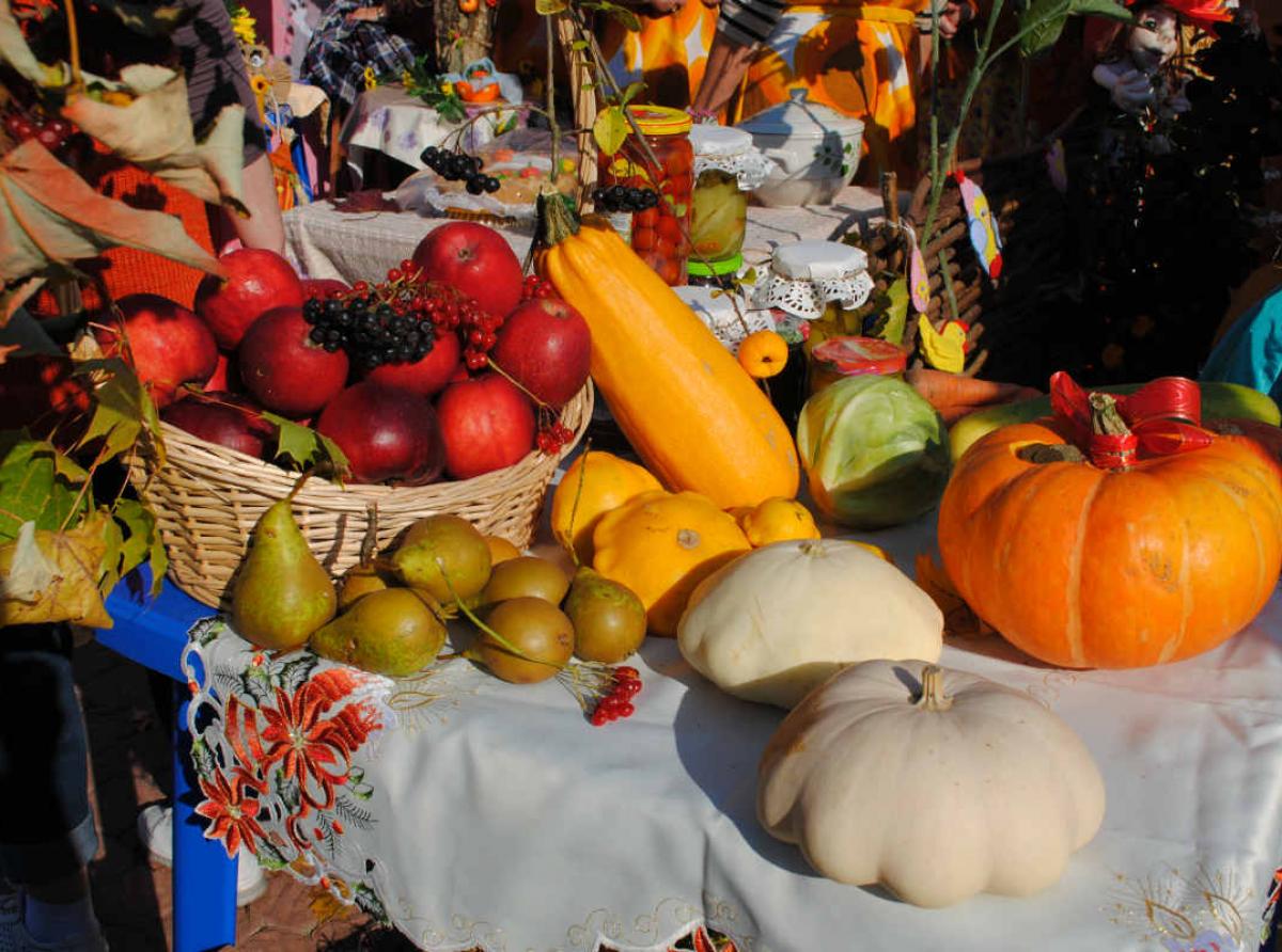 Празднование «Дня оранжевой тыквы» переносится на 19 октября!