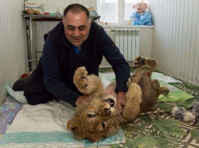 #Симбалетитдомой