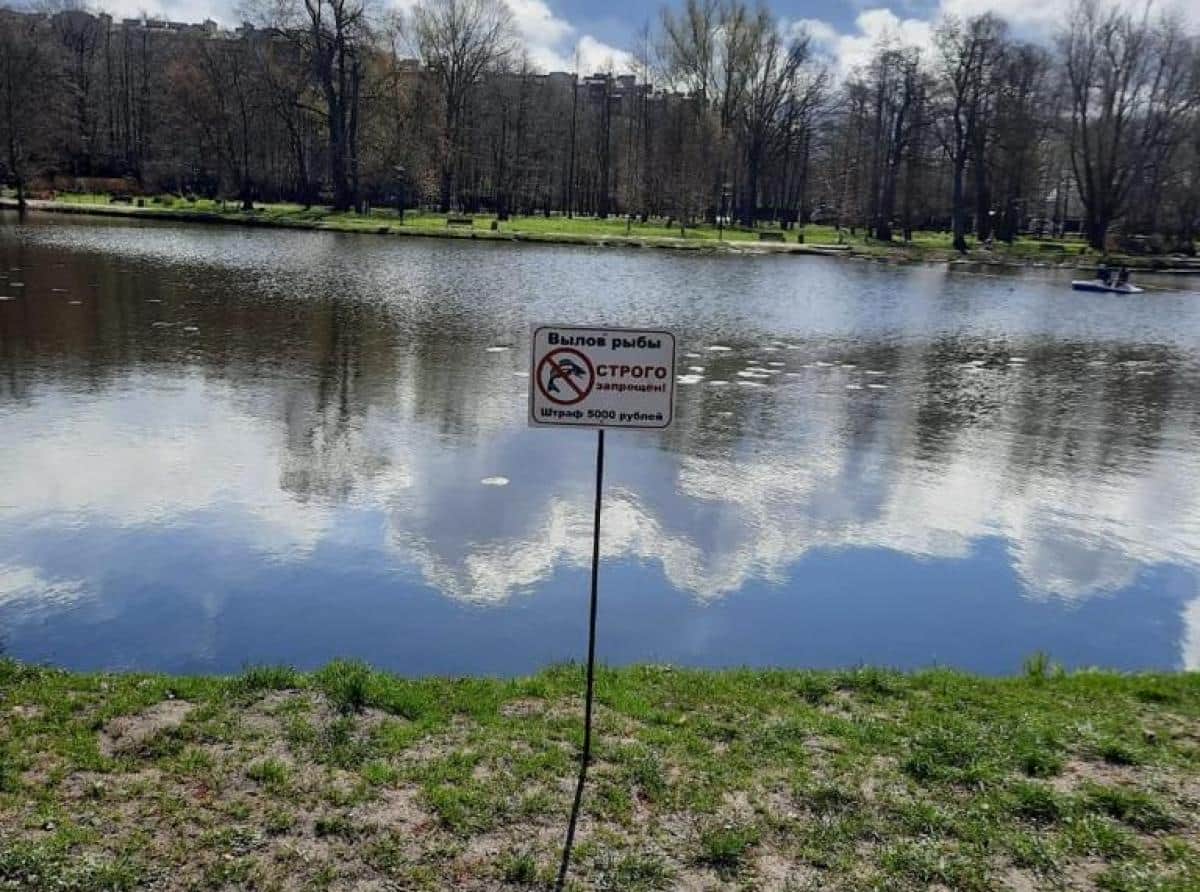 Рыбалка в парке запрещена