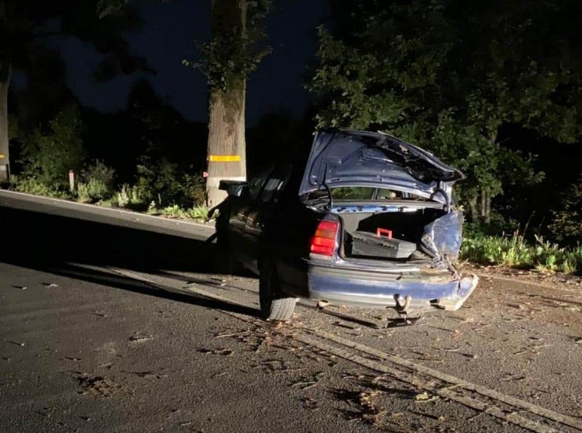 Пьяный водитель врезался в дерево