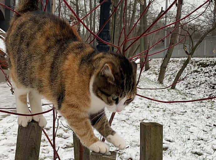 Брызнул в Катю из баллончика 