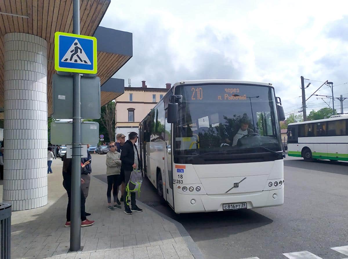 Автовокзал зеленоградск. 140 Автобус Зеленоградск. Автобус 210 Зеленоградск. Пригородные автобусы Калининград. Движение маршрутного автобуса 618.