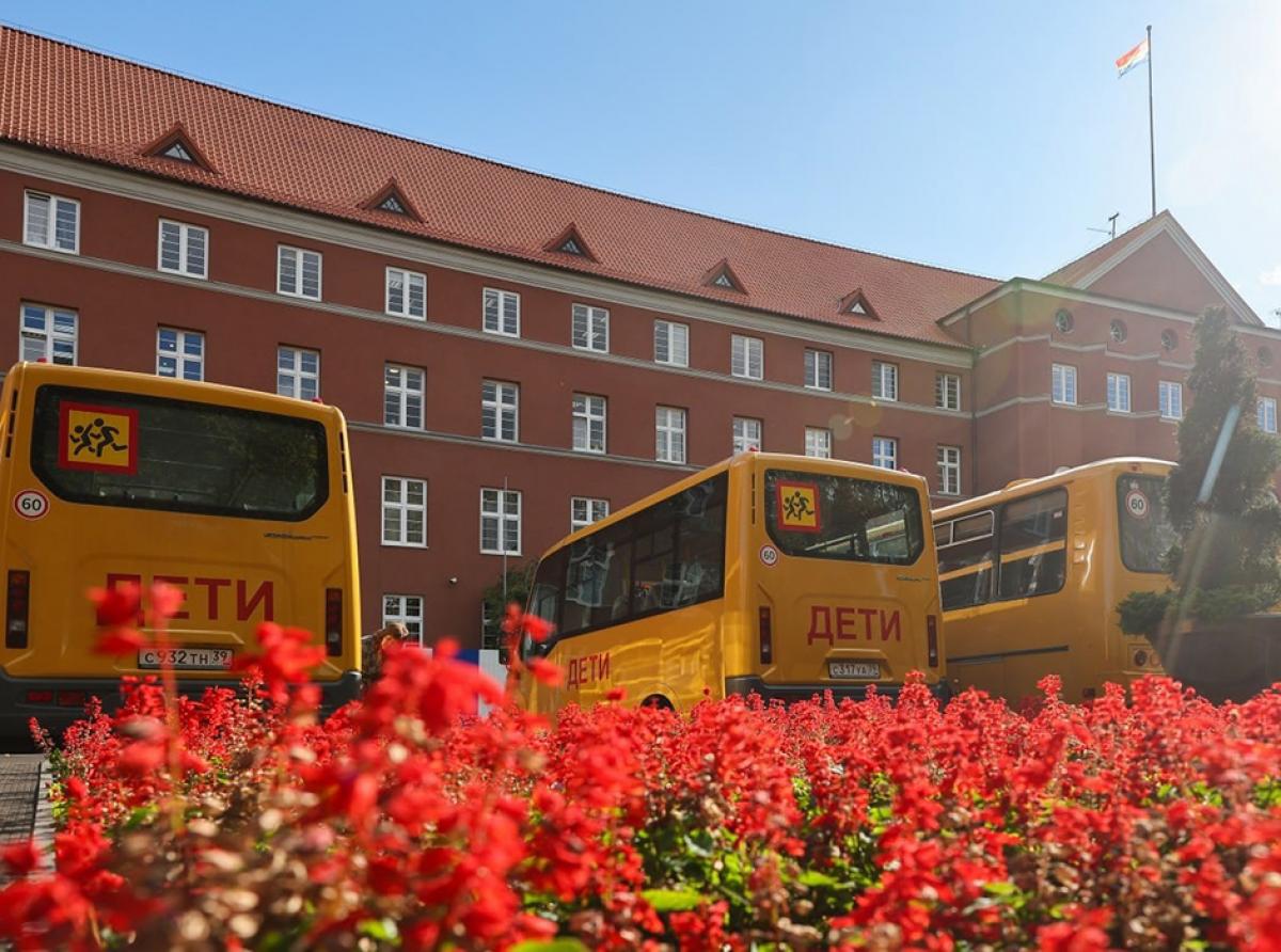 Автобусы для школьников