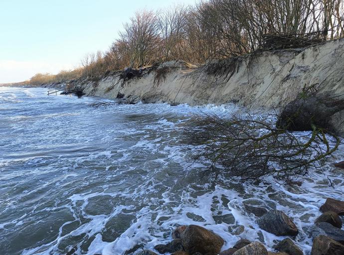 «Балтберегозащита» сообщила о результатах послештормового мониторинга на побережье в районе Зеленоградска и Куршской косы