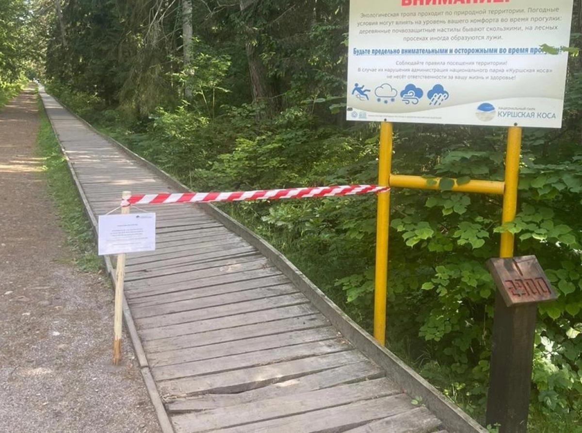 В национальном парке оповестили, что настил в Королевском бору от парковки до Вышки наблюдения за птицами в аварийном состоянии