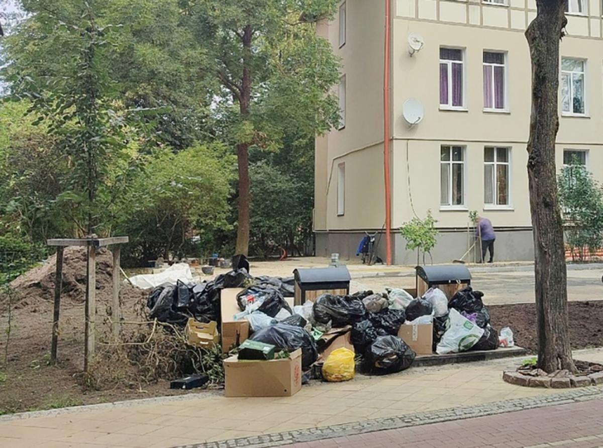 Свет, вода и чистота