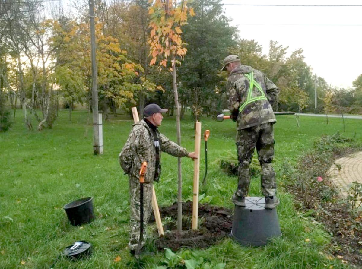 Парк почти готов