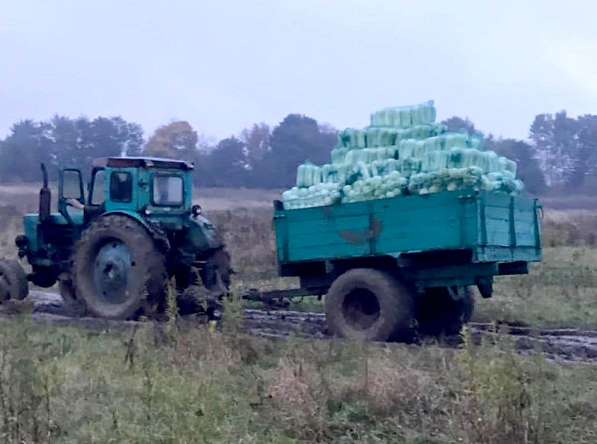 200 тонн с гектара