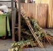 Свалка новогодних ёлок 
