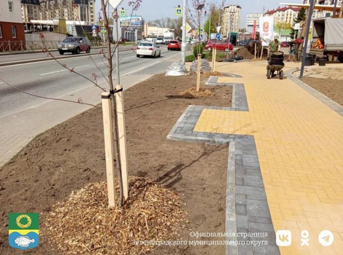 Обустройство новой зоны отдыха с каскадным водопадом на улице Тургенева в Зеленоградске вышло на финишную прямую
