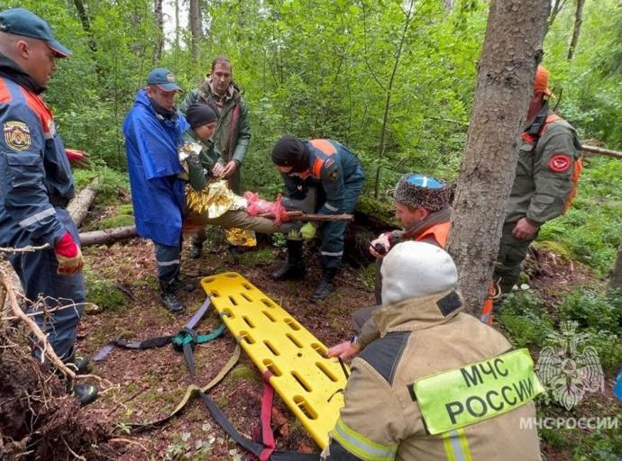 В Зеленоградском округе прошли учения по поиску людей в природной среде
