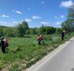 «2 318 гектаров»: муниципалитет продолжает проводить работы по борьбе с борщевиком Сосновского