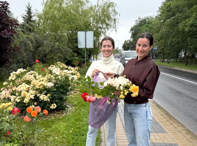 В Зеленоградске начали раздавать черенки роз