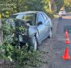 В Зеленоградском районе «Лада» врезалась в дерево