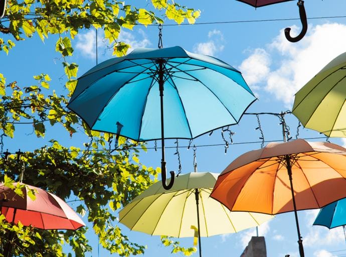 Осень вдохновляет