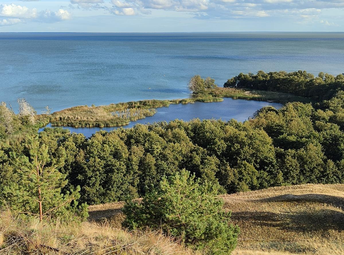 Удивить и заинтересовать