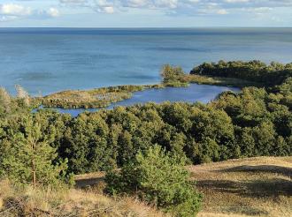 Удивить и заинтересовать