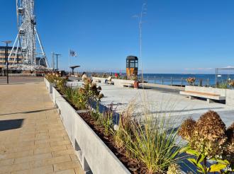 В Зеленоградске на Розе ветров появится новая арт-зона с интерактивной игрой-бродилкой