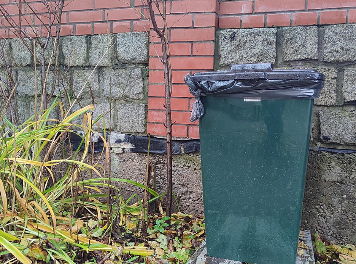 Удачный эксперимент