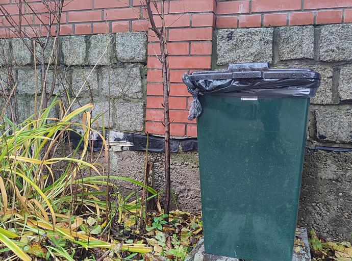 Удачный эксперимент