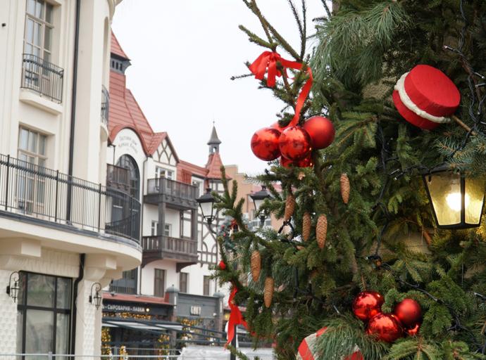 «Спеши делать добро»