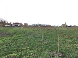 В районе поселка Муромское обнаружены самовольно захваченные 1,2 га земли