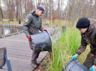Озеленители мульчируют приствольные зоны деревьев и кустов, утепляя корни