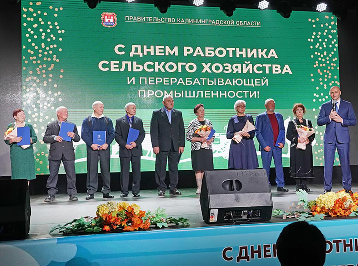 Губернатор наградил сельхозпроизводителей региона