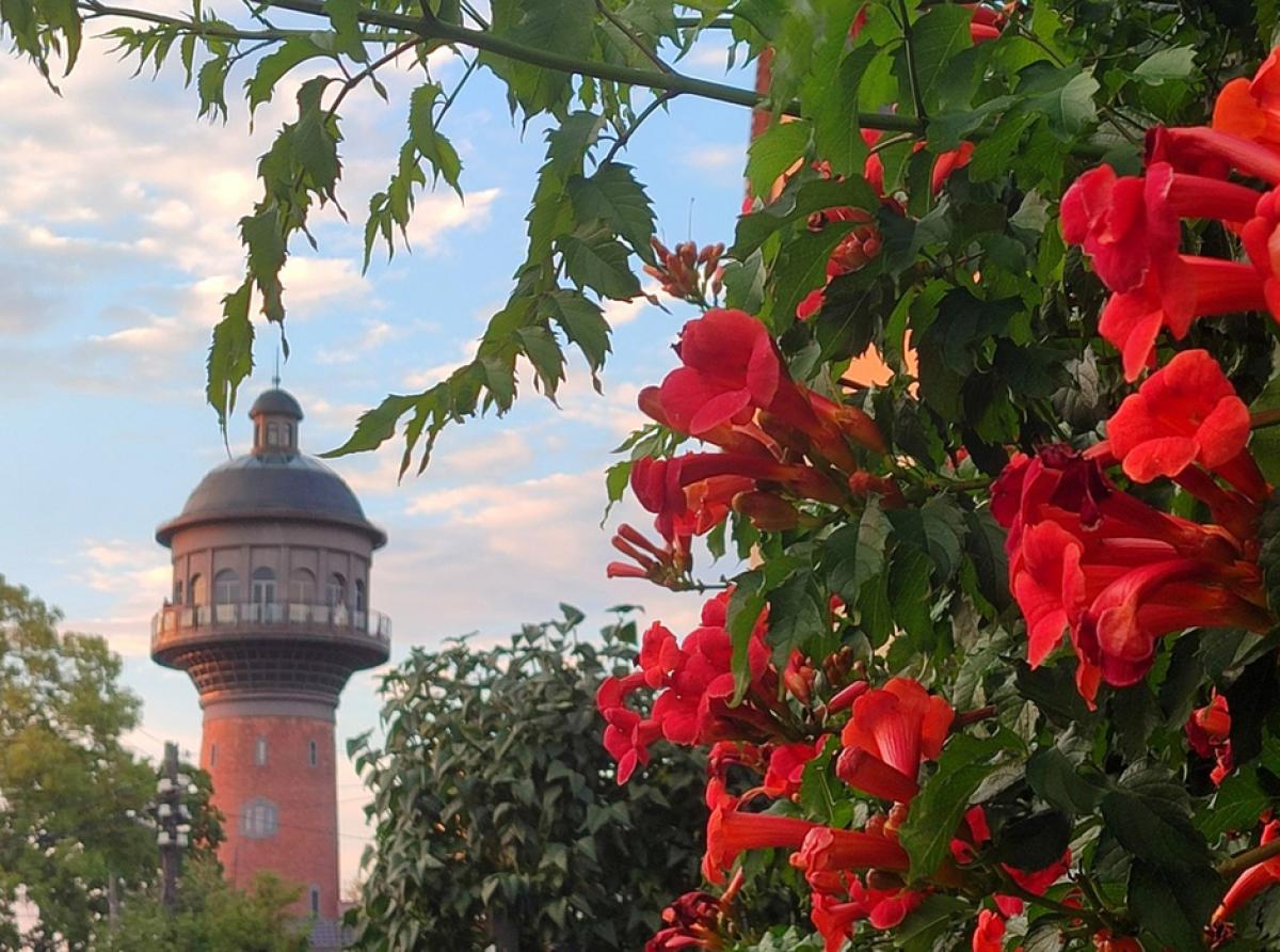 О Зеленоградске — на страницах Forbes