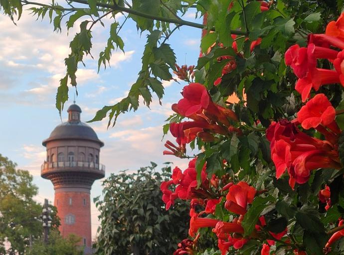 О Зеленоградске — на страницах Forbes