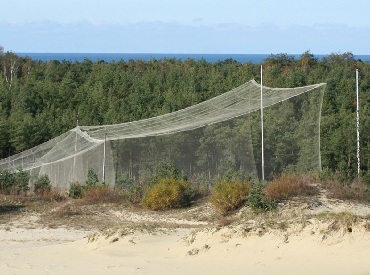 В полевом орнитостационаре «Фрингилла» стартовал новый сезон