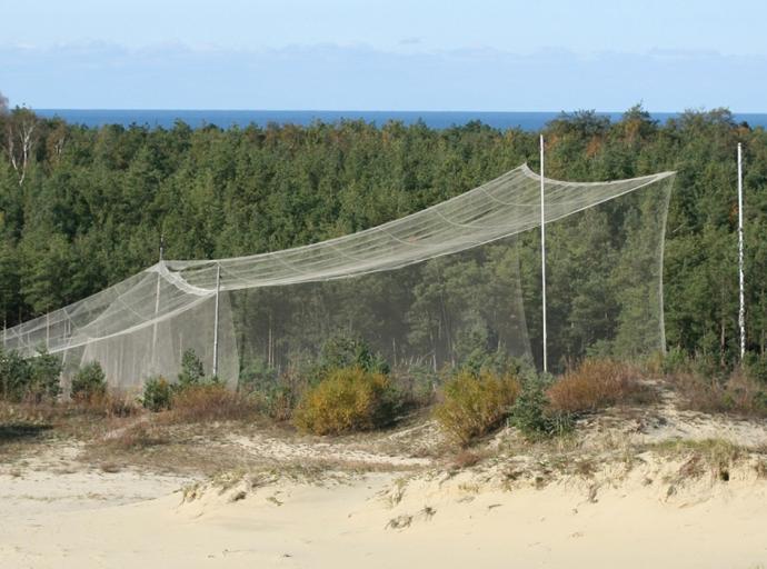 В полевом орнитостационаре «Фрингилла» стартовал новый сезон