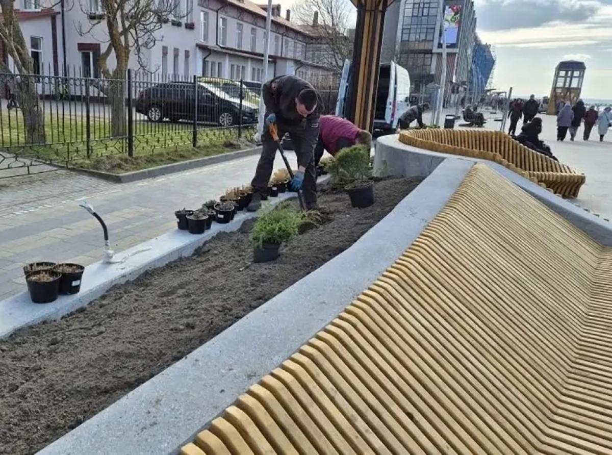 Озеленители приступили к высадке новых растений