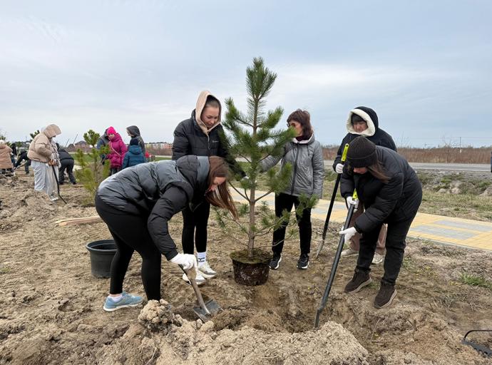 В Зеленоградске появилась новая зелёная аллея