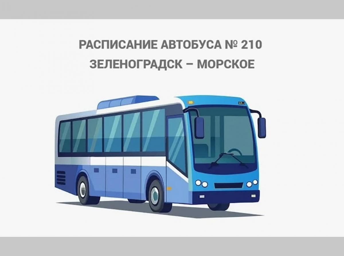 В администрации сообщили об изменении расписания в движении автобусов «Зеленоградск-Морское»