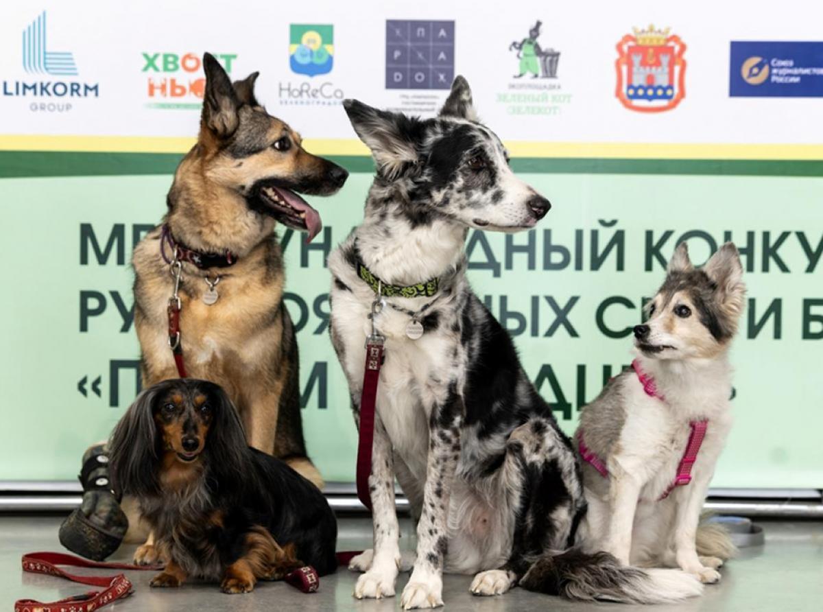 Смелые люди и добрые звери