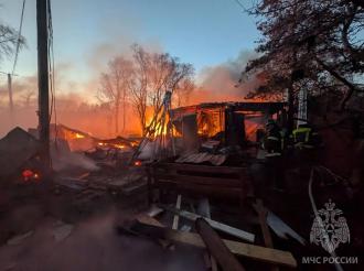 Огнеборцы МЧС России потушили пожар на Куршской косе