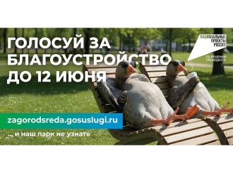 В Калининградской области более семи тысяч человек приняли участие в субботниках на территориях благоустройства