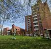 От экологии до городской среды