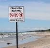 Как выгуливать собаку