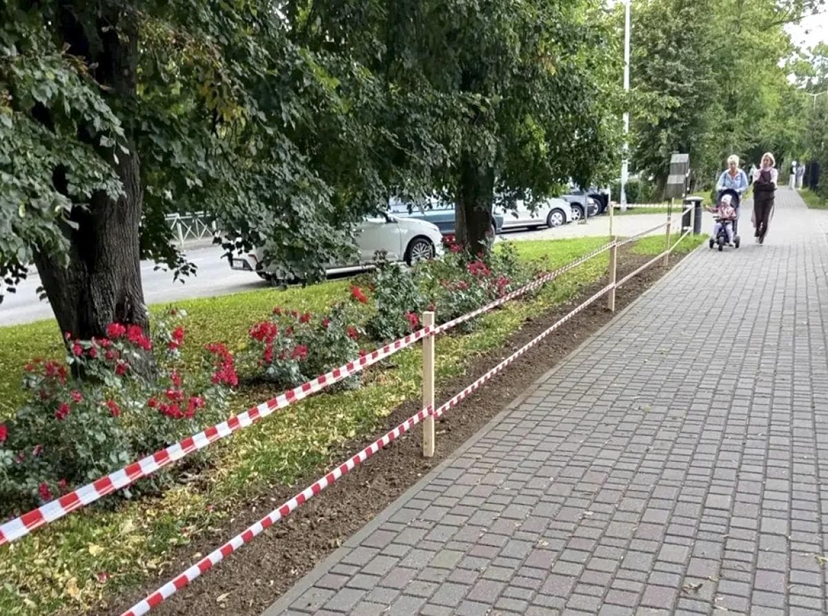 Зеленоградские озеленители засевают зелёные зоны газонной травой