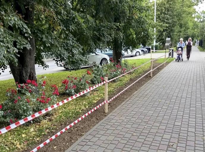 Зеленоградские озеленители засевают зелёные зоны газонной травой