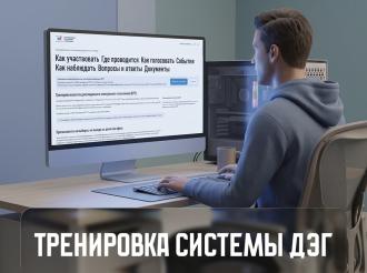 В регионе проводят тренировку платформы дистанционного электронного голосования