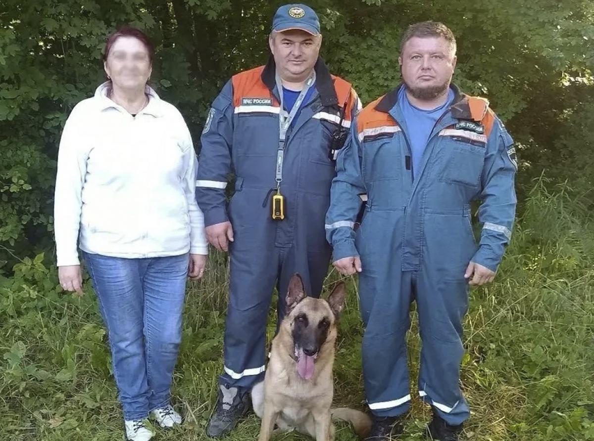 Спасатели МЧС России вывели из леса в районе посёлка Кострово заблудившуюся женщину